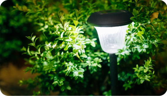 lampka solarna rozświetlająca nasadzenia w ogrodzie